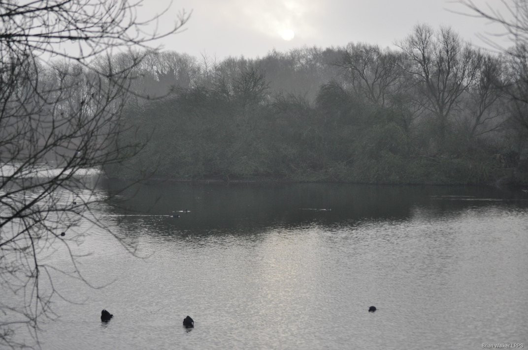 Branston Water Park景点图片