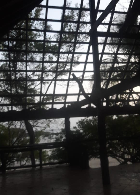 La Playita Resort主图