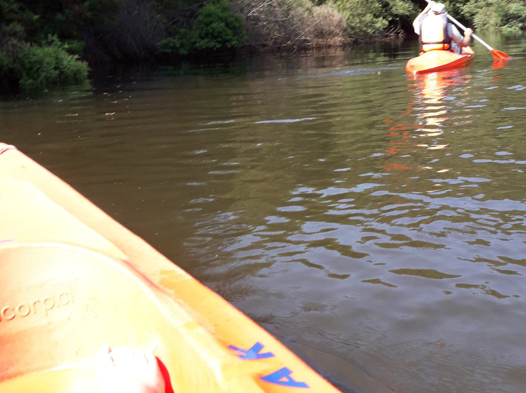 Rutas Pudu-Pelluhue必去景点