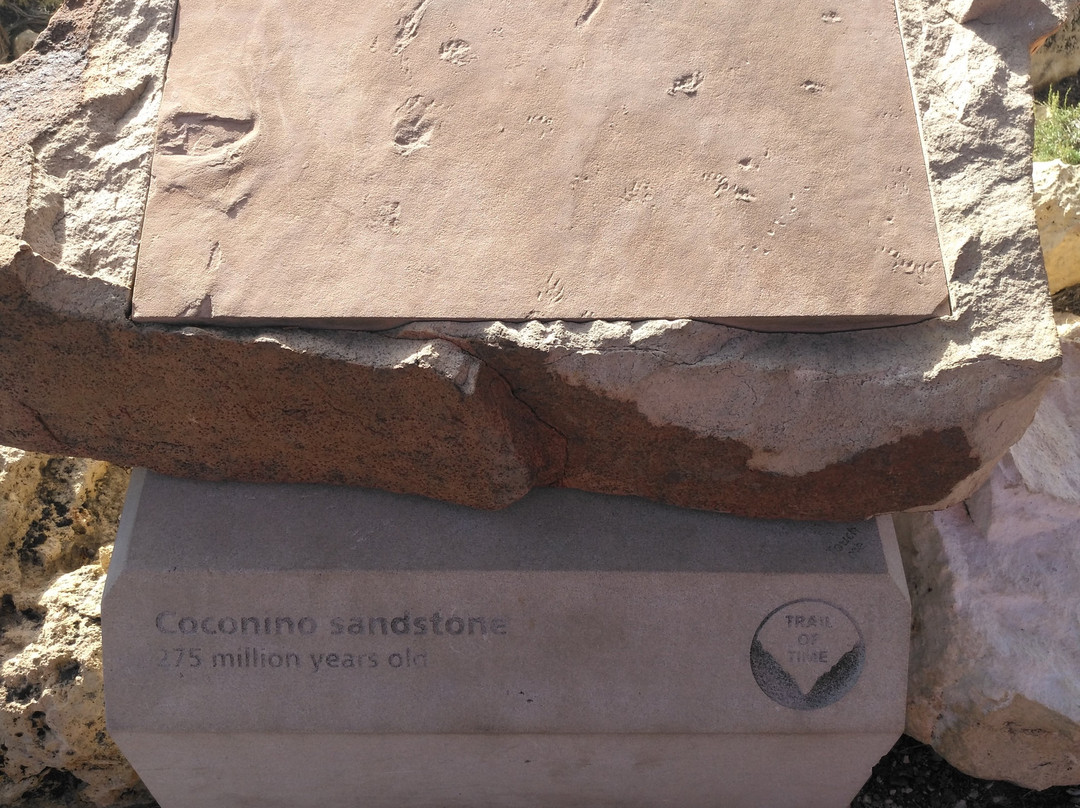 Yavapai Geology Museum景点图片