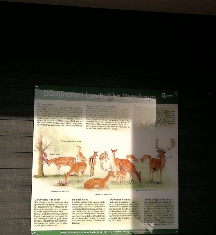 Loevbakke Naturcenter景点图片