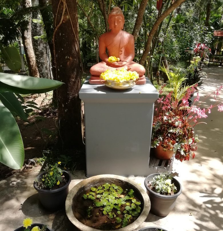 Mangalamkombu旅游攻略图片