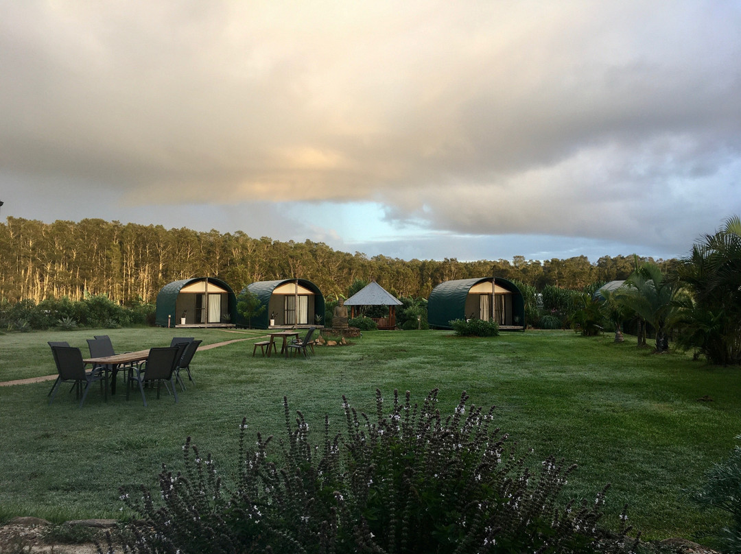 Byron Yoga Retreat Centre景点图片
