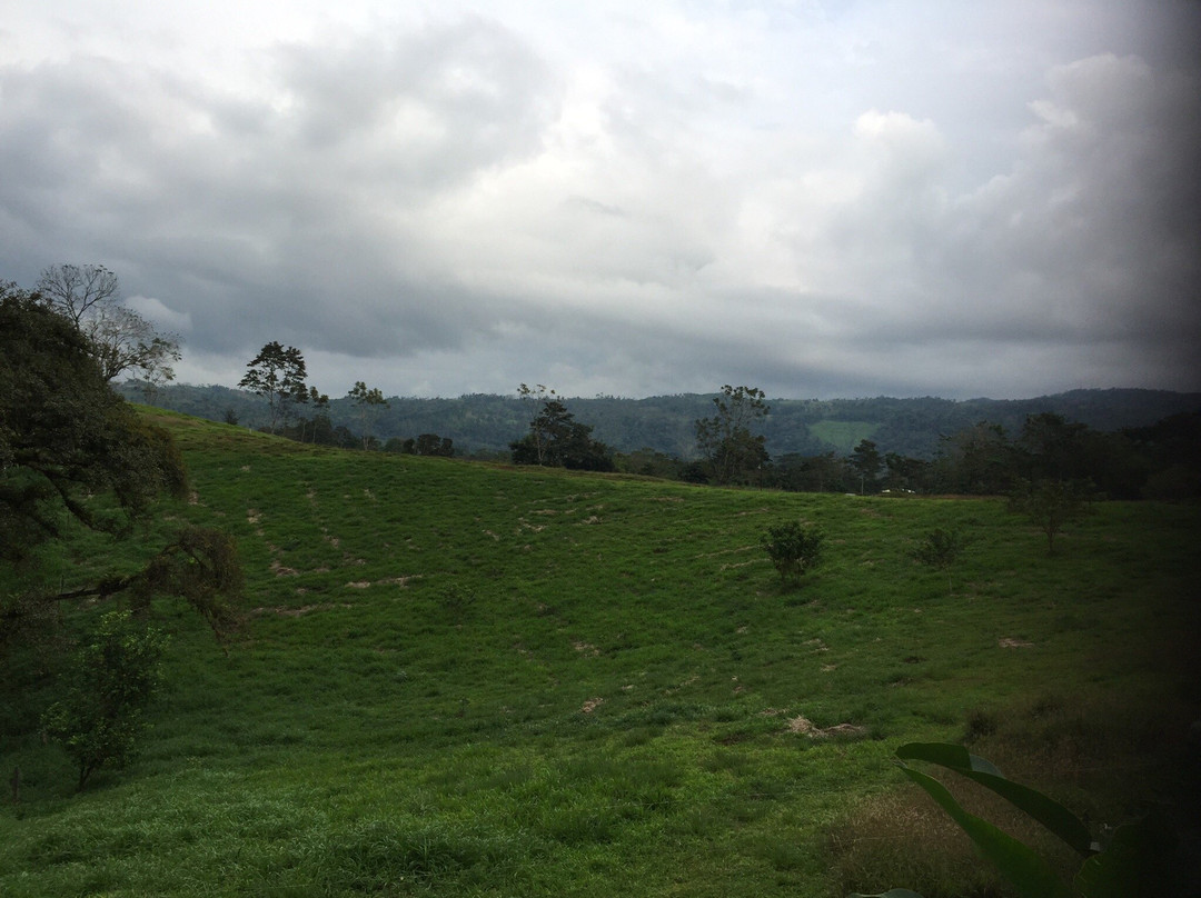 La Finca Lodge主图