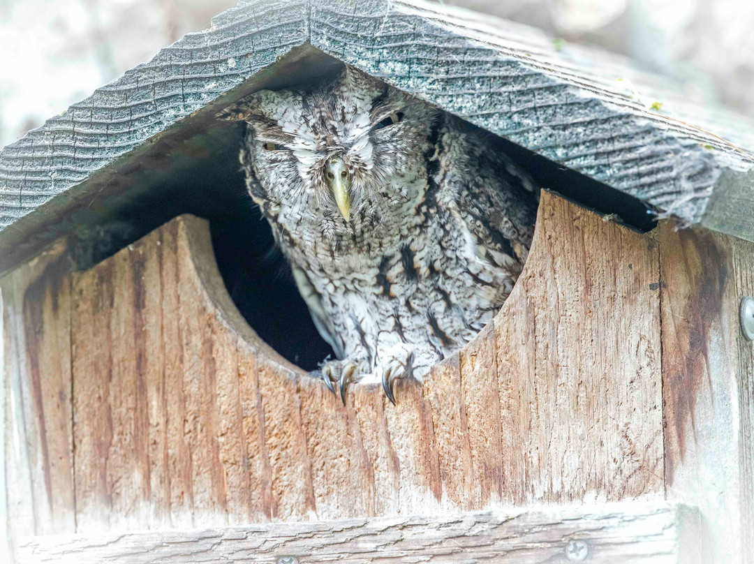 National Butterfly Center-Mission必去景点