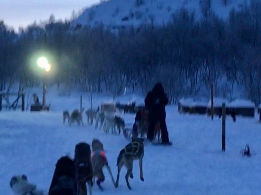 Husky Tours By Snowhotel Kirkenes景点图片