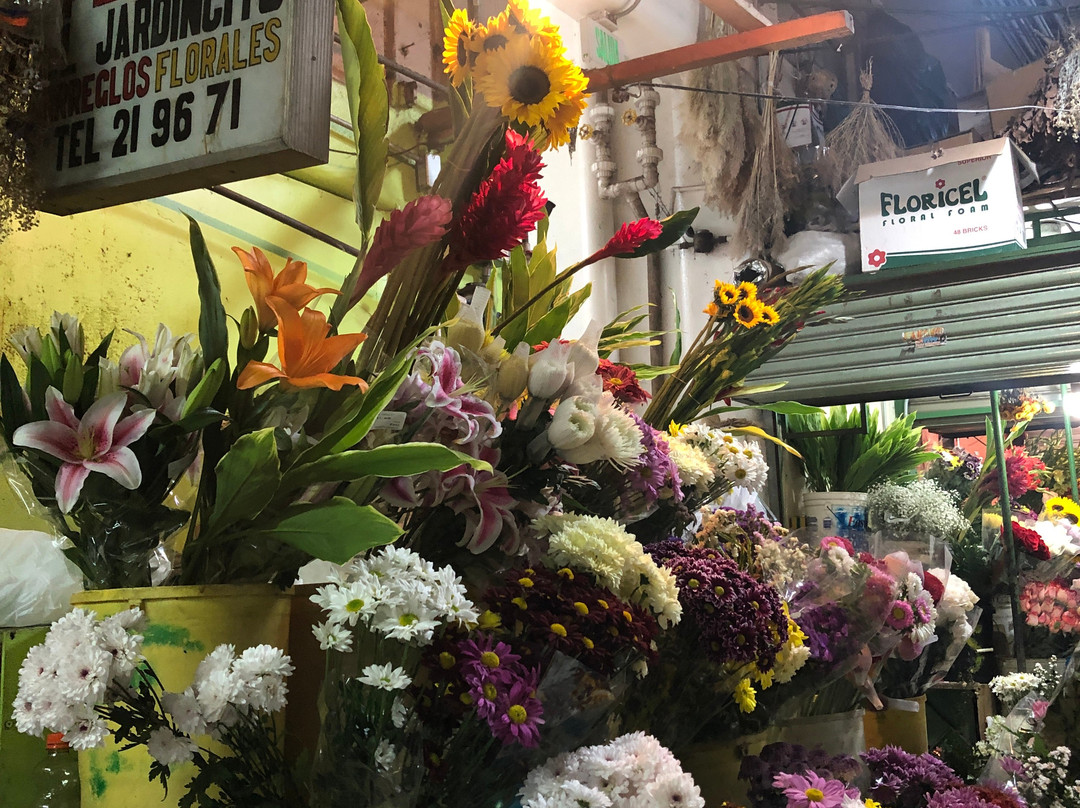 Central Market (Mercado Central)-圣何塞必去景点