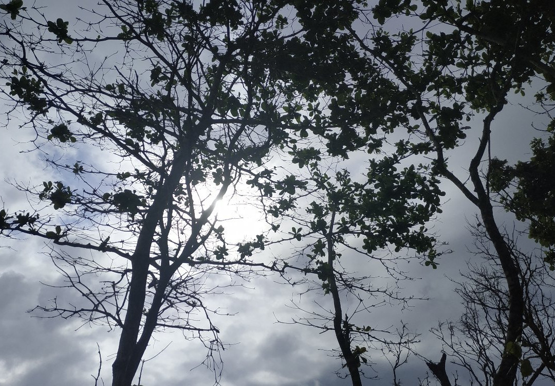 Mandiri Beach-Balai Kencana必去景点