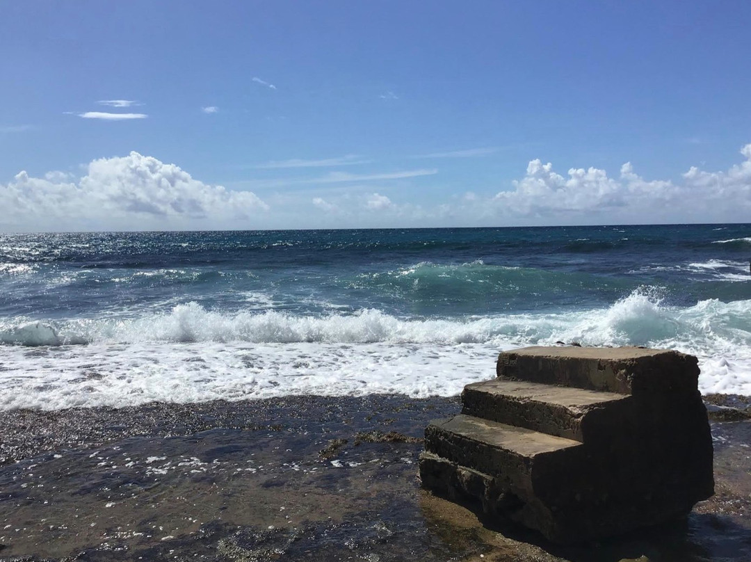 Tres Palmas Marine Reserve-吕康必去景点