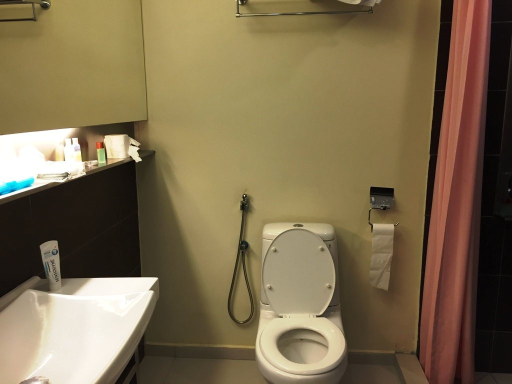 皮内特酒店主图