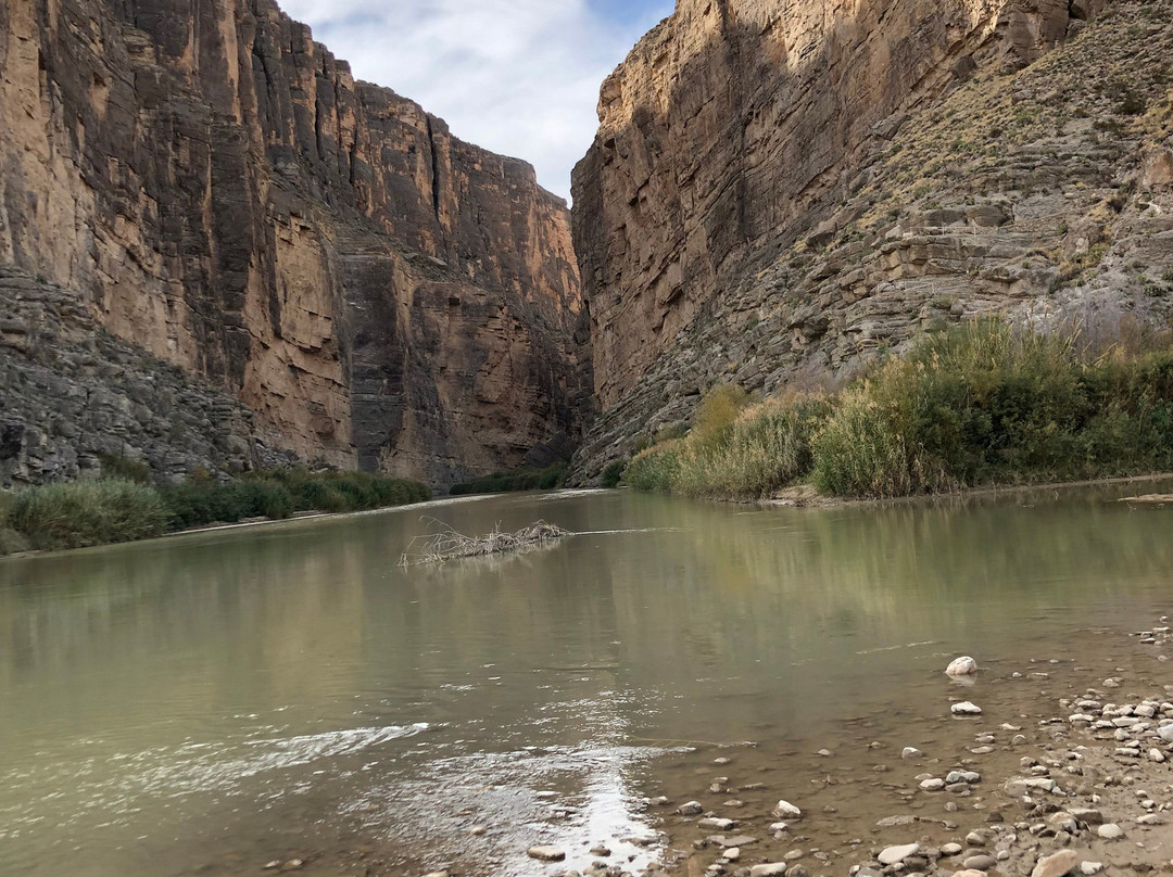 Big Bend National Park - Fossil Bone Exhibit景点图片