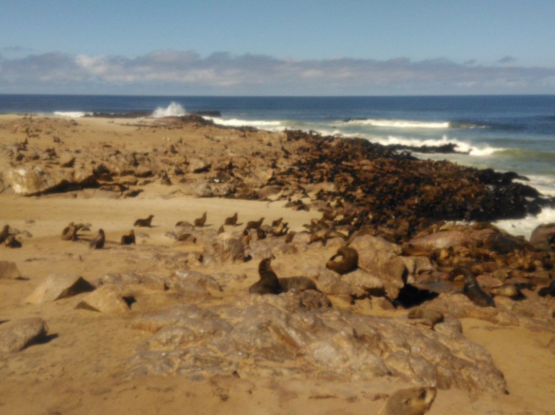 Discovery Transfer and Tour-温德和克必去景点