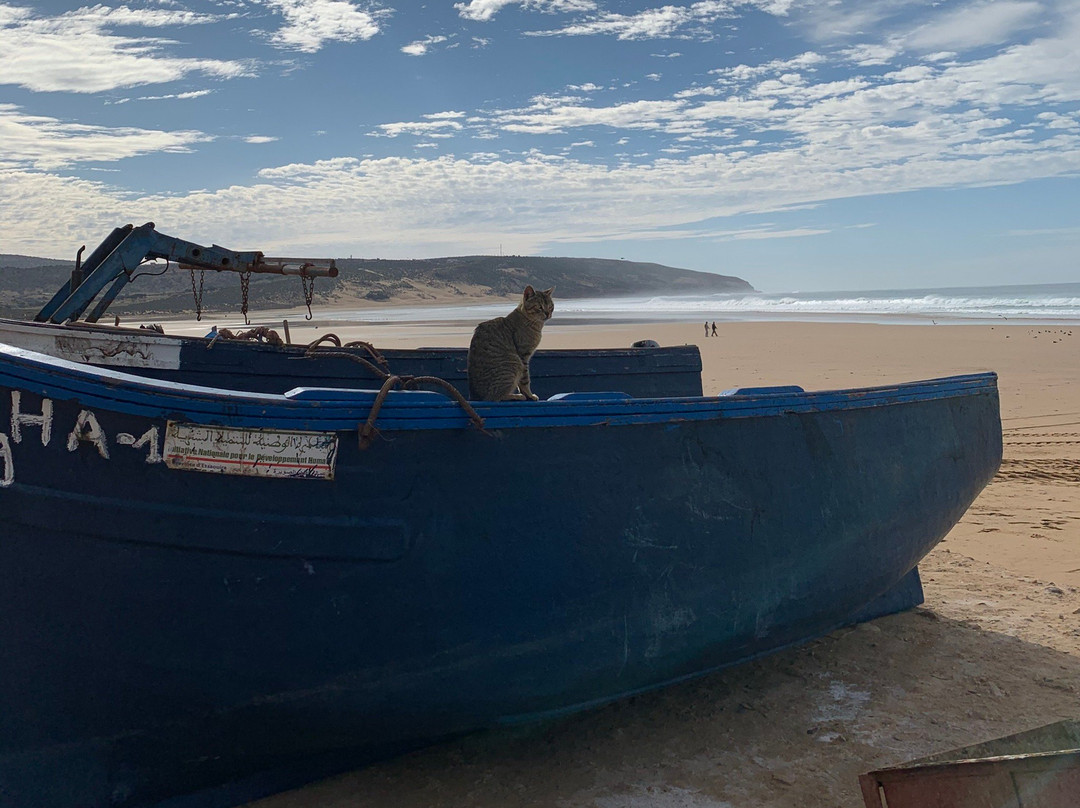 Dancing the Waves-Tafedna必去景点
