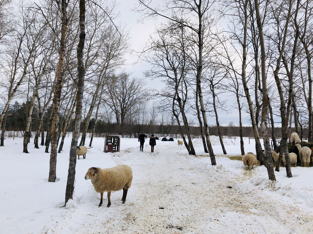 Kismet Creek Farm-Steinbach必去景点