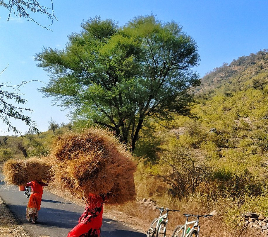 Udaipur Cycling景点图片