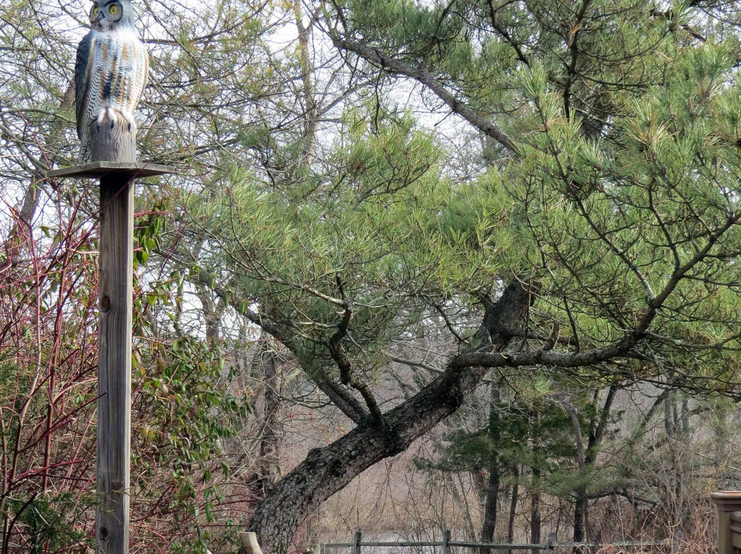 Environmental Education Center at Lord Stirling Park景点图片