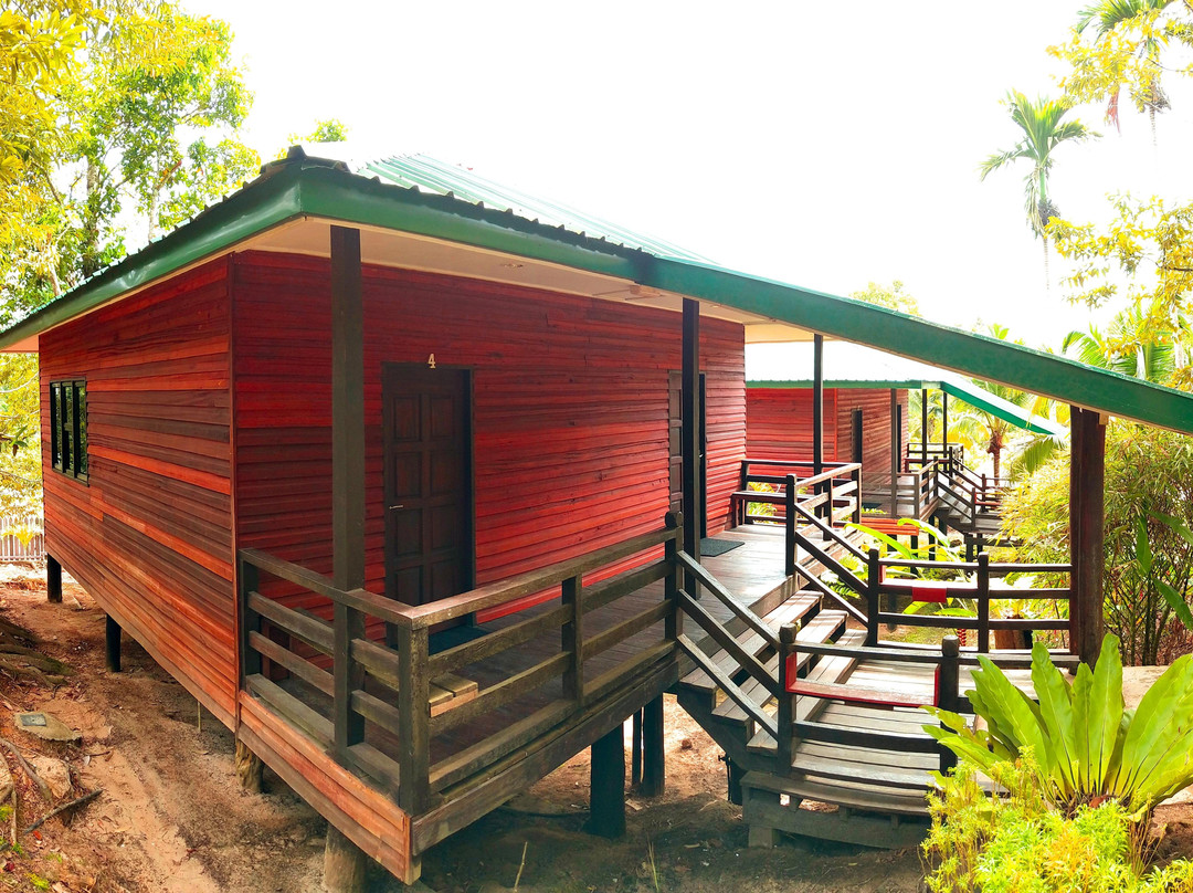 Borneo Beyond Adventure-亚庇必去景点