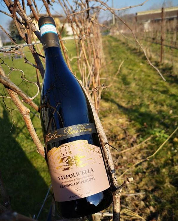 Villa San Pietro Winery-Bure必去景点