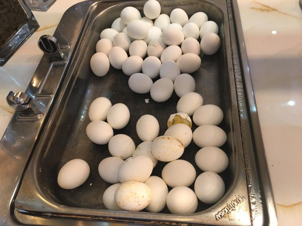 亚拉腊酒店主图