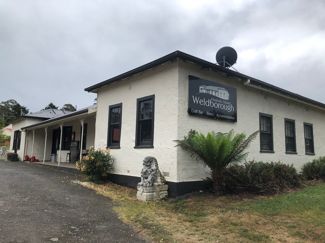 Weldborough Hotel主图