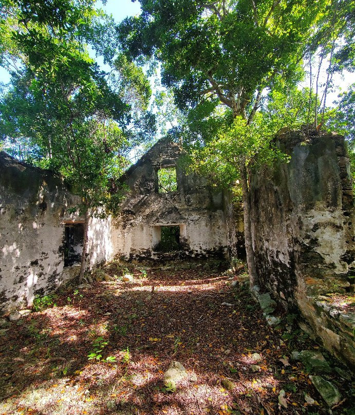 Wade's Green Plantation-North Caicos必去景点