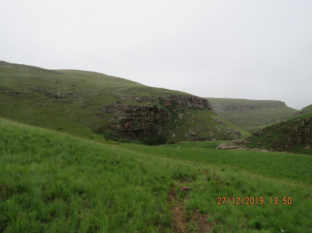 Cobham Nature Reserve-Himeville必去景点