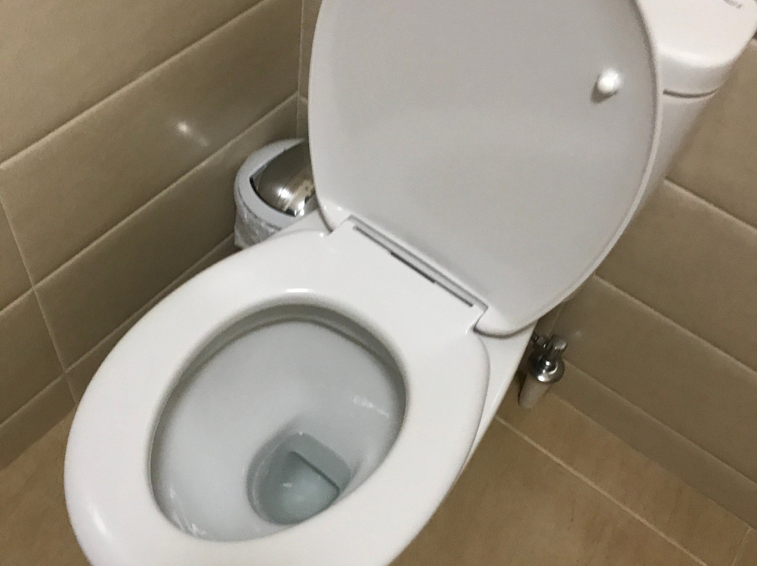 Pampushka & Podushka主图