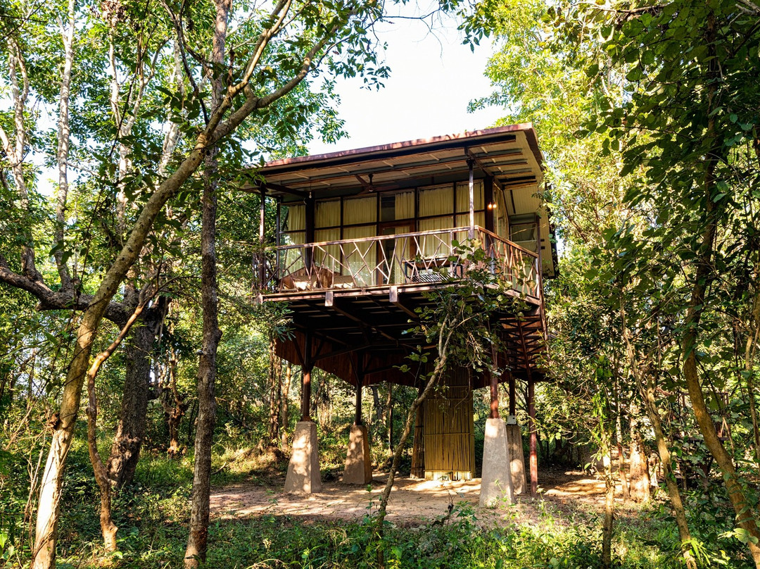 Kanha Jungle Camp - Jungle Camps India主图