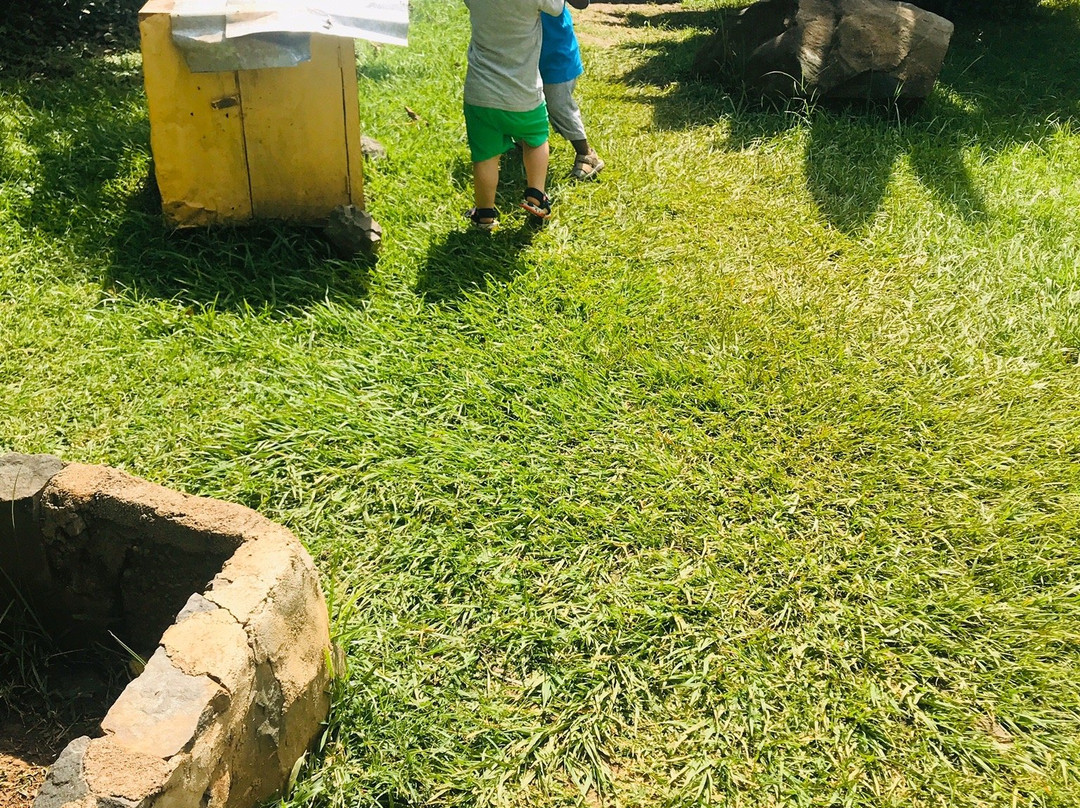 Nile Reptile Park-金贾必去景点