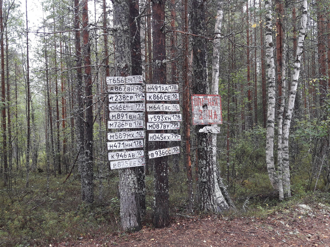 Vottovaara Mountain-Republic of Karelia必去景点