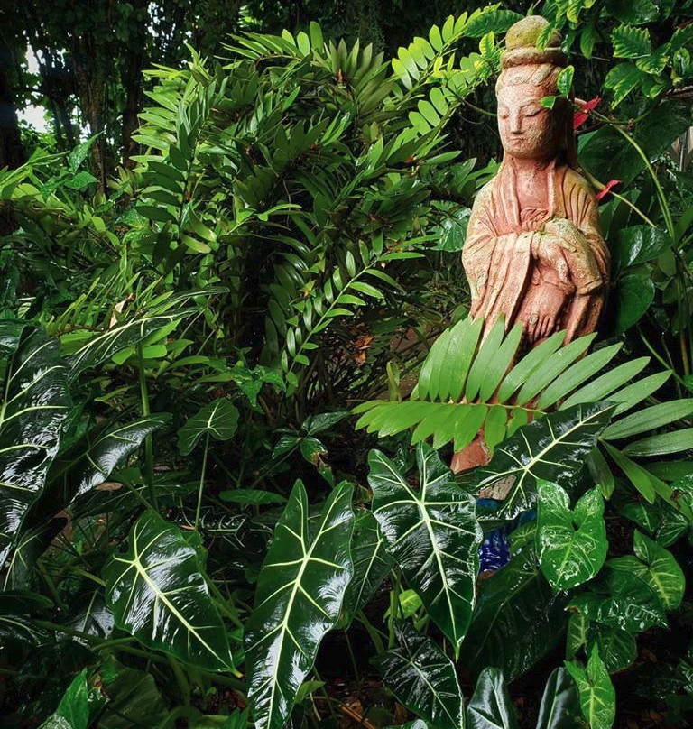 蜻蜓农场-疗伤艺术中心主图