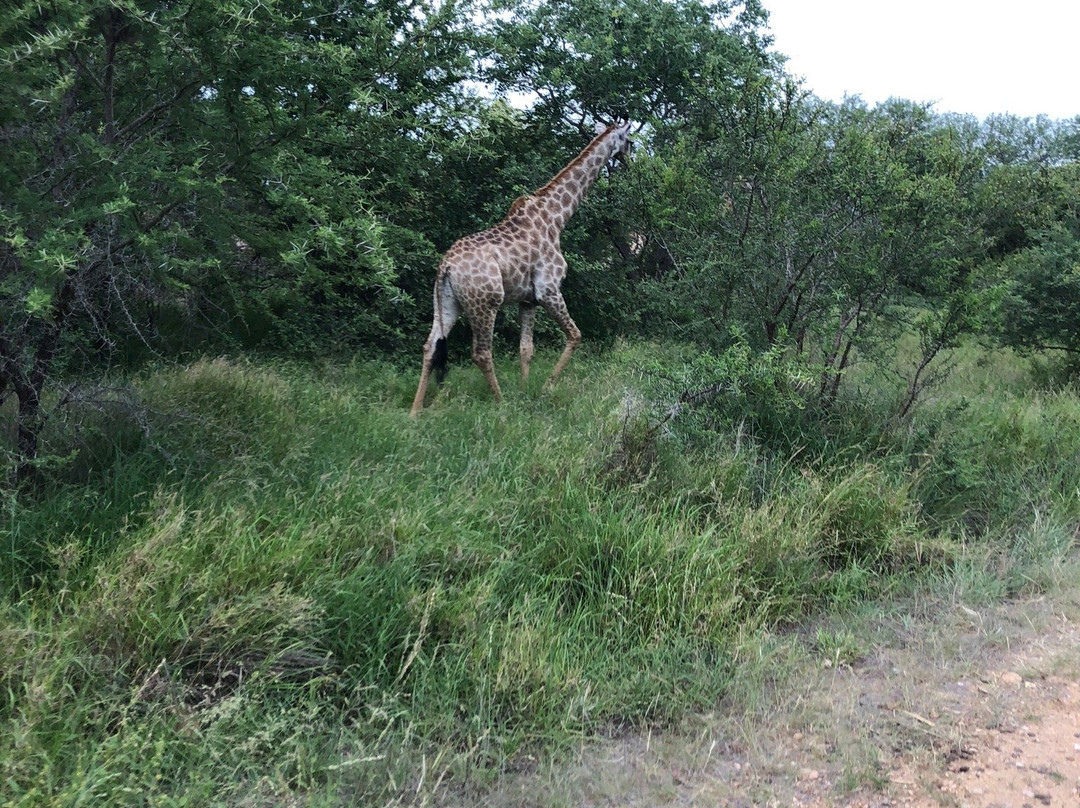 Sensing Africa-霍德斯普鲁特必去景点