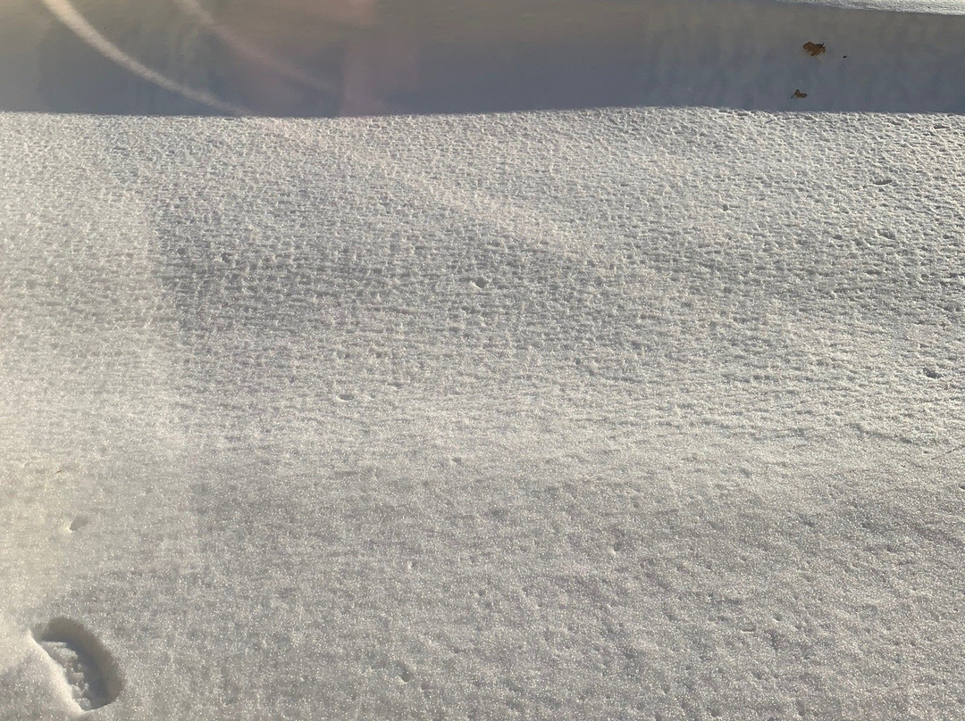 Comfort Suites主图