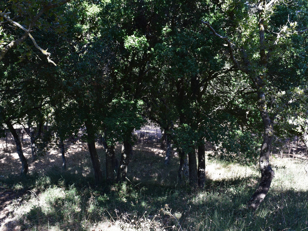 Minoiko Nekrotafeio Armenon-Armeni必去景点