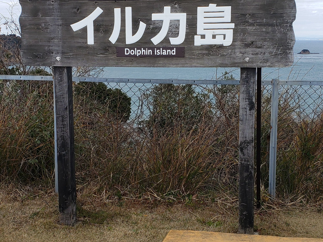 Dolphin Island景点图片