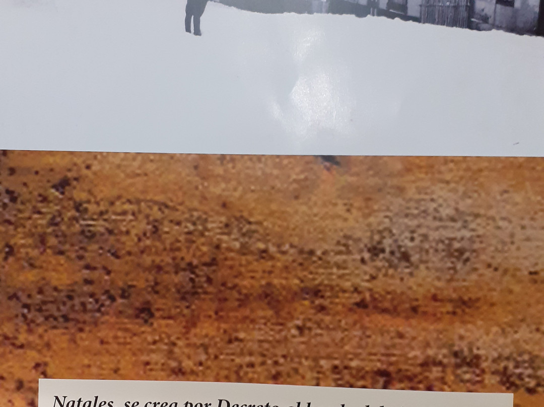 Historical Museum,Municipality of Puerto Natales-纳塔莱斯港必去景点