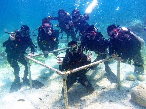 394DIVE-马丹岛必去景点