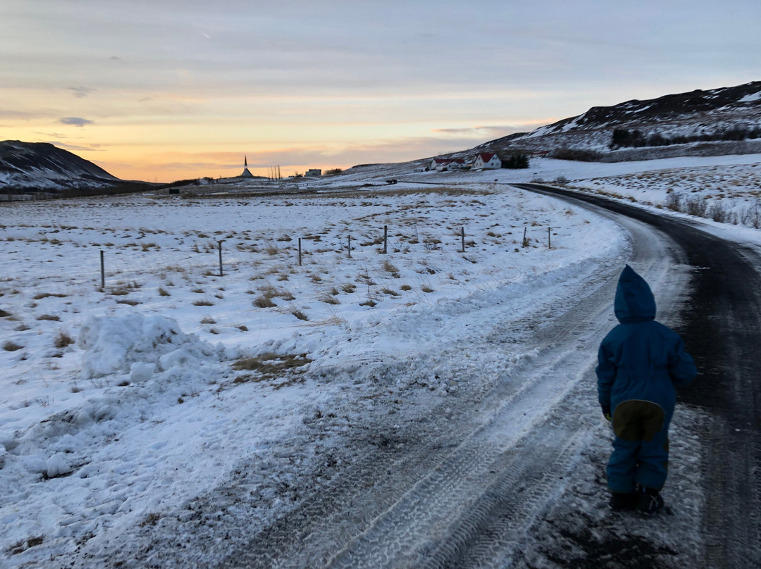 Minna-Mosfell Guesthouse主图