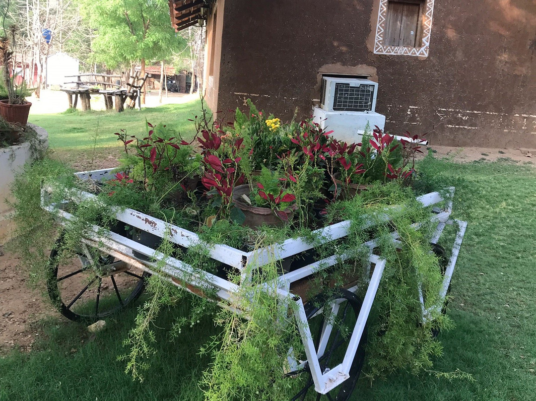 Alis Arcadia Resort主图