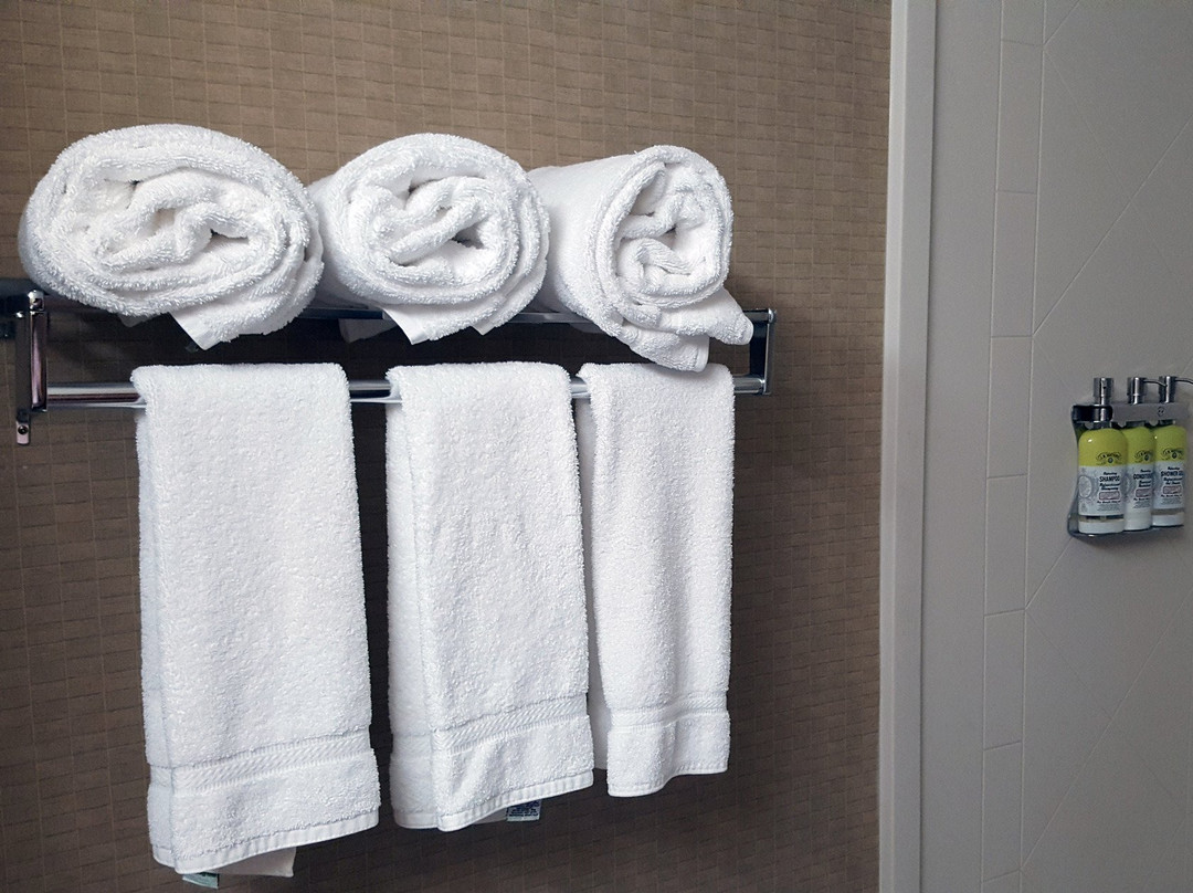 蒂尔顿快捷假日&套房酒店主图