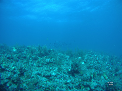 Takata Experience-Mahahual必去景点