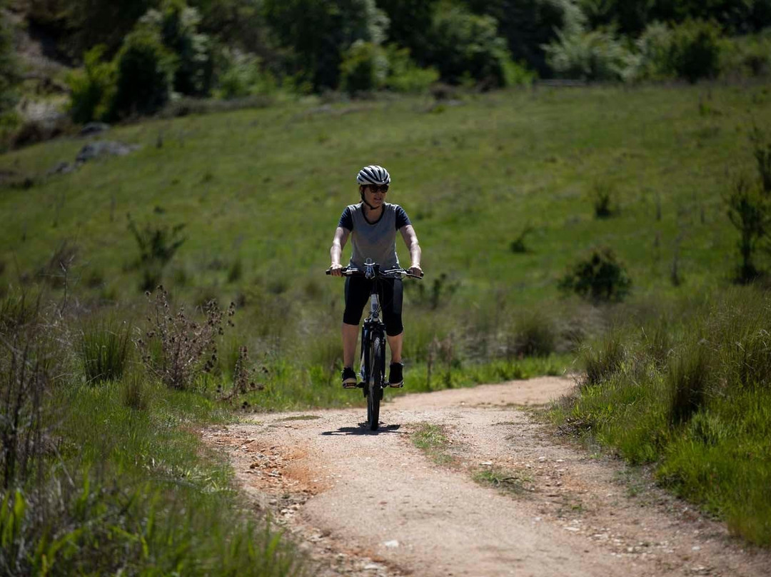Kaewa Cycle Adventures-巴拉瑞特必去景点