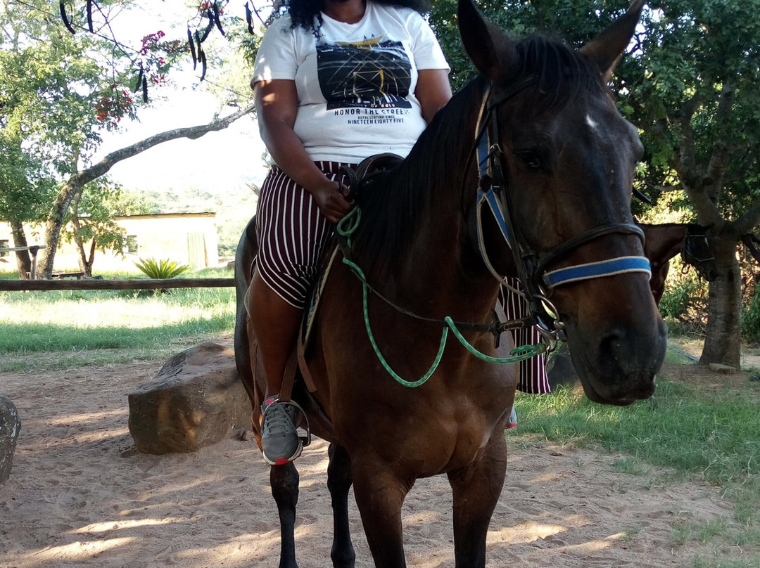 Horse Whispers-雾观必去景点