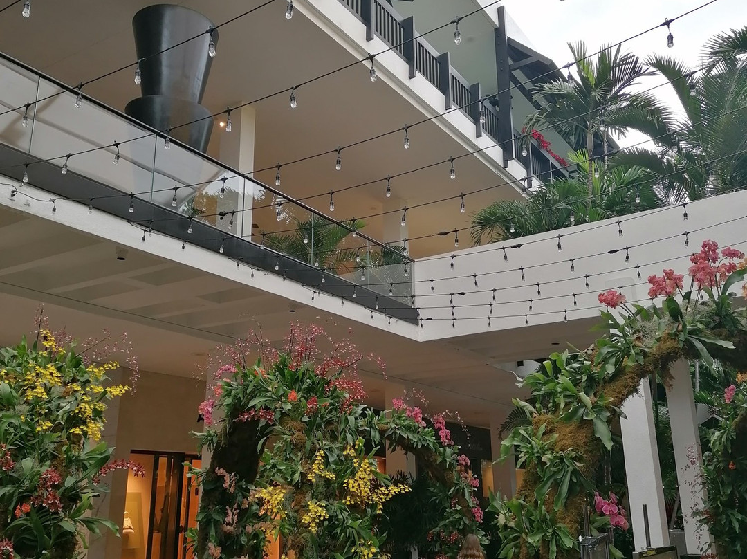 Bal Harbour Shops景点图片