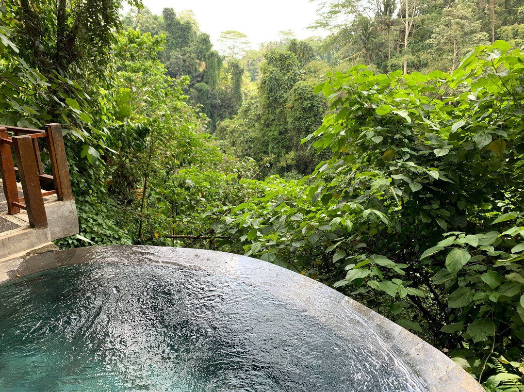 阿旺阿旺别墅主图