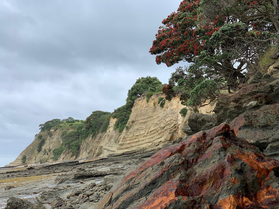 Shakespear Regional Park-旺阿帕劳阿必去景点