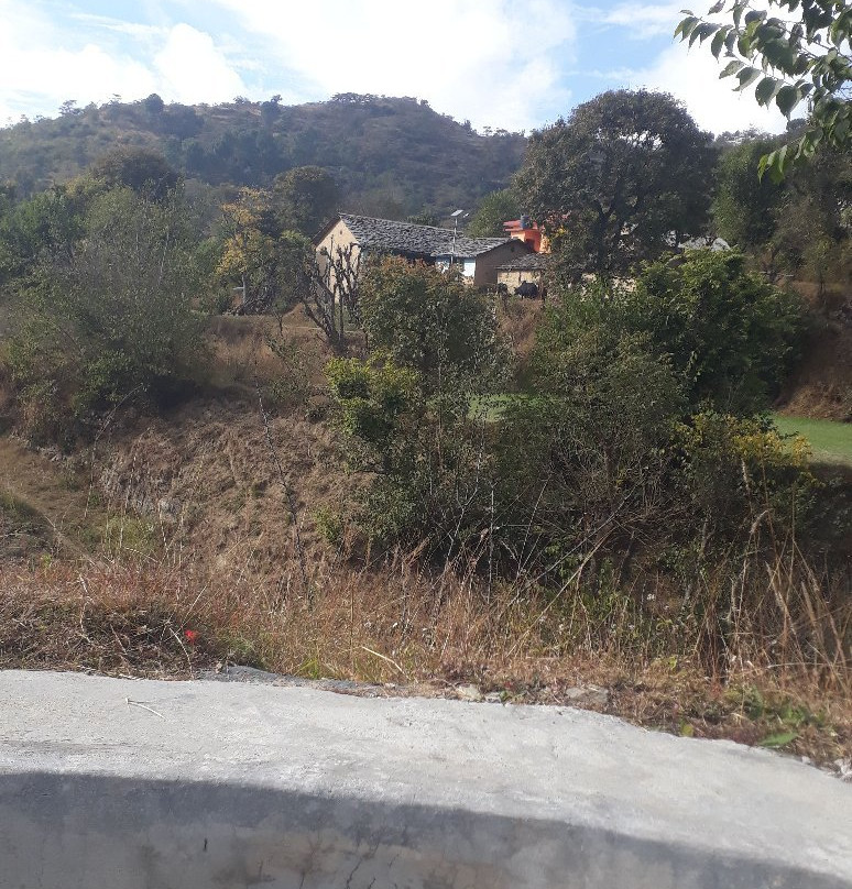 Sunshine Courtyard Resort主图