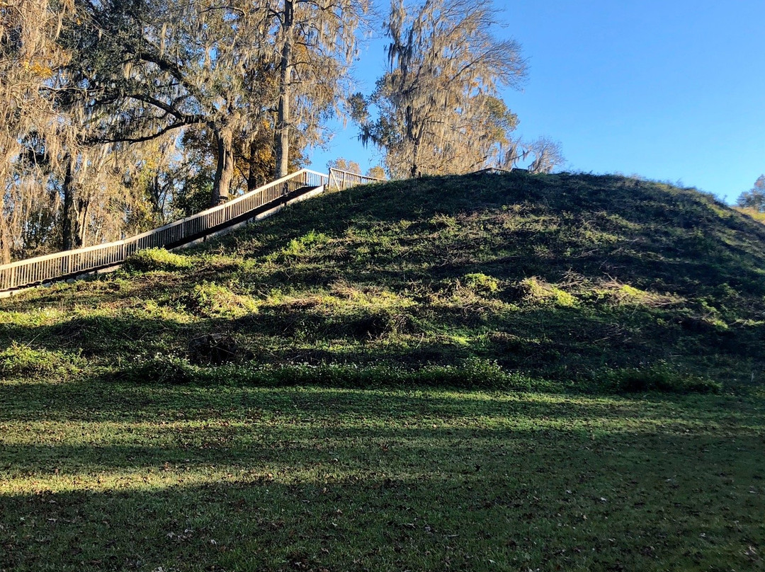 Lake Jackson Mounds Archaeological State Park景点图片