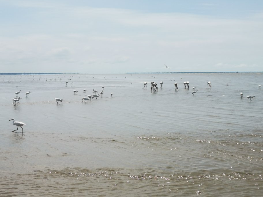 Wave Rest House & Cafe主图