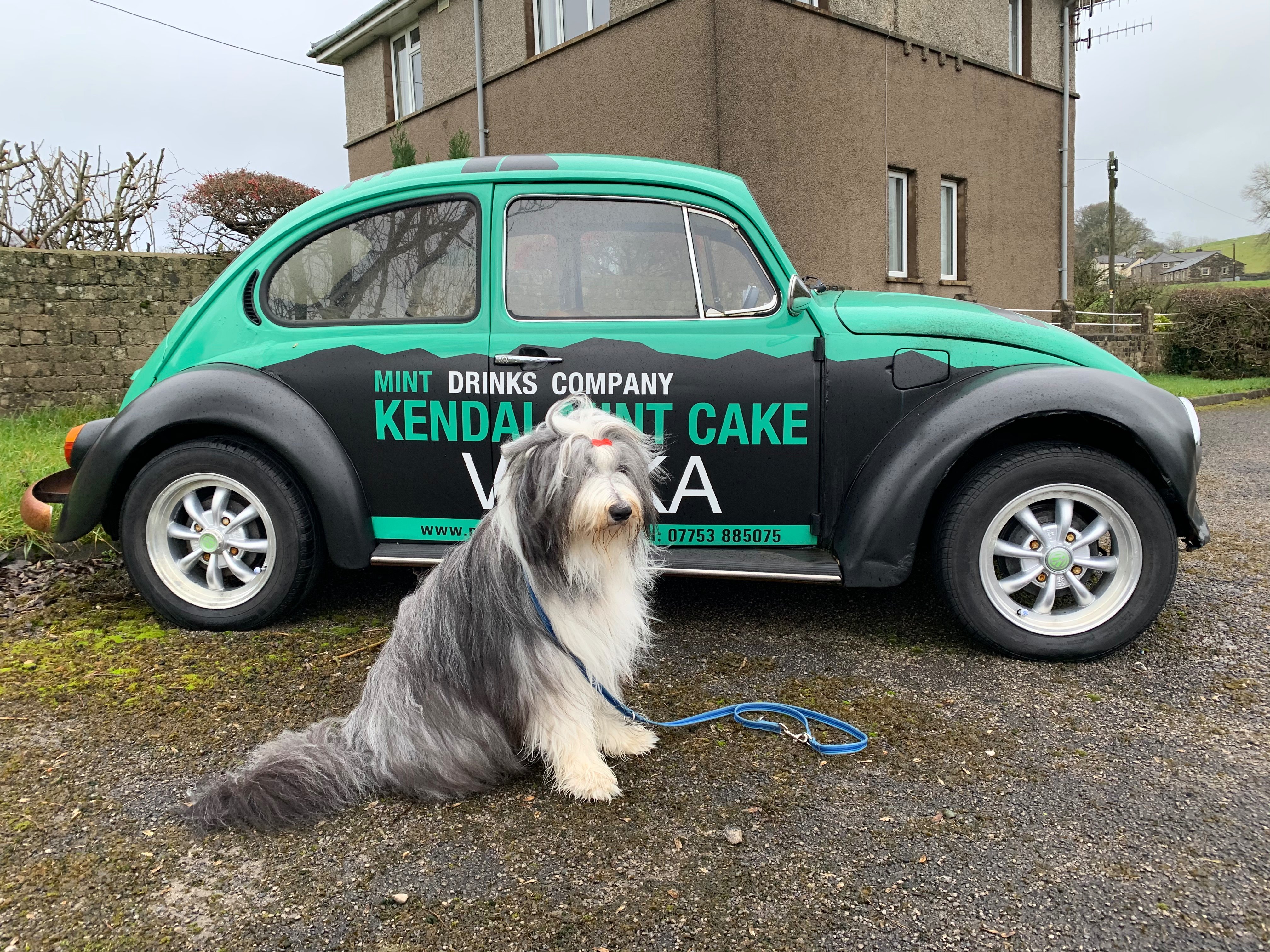 The Punch Bowl-餐饮